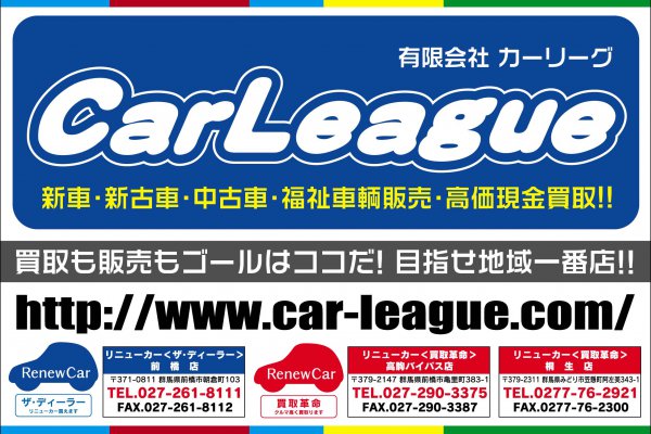 （有）カーリーグ画像